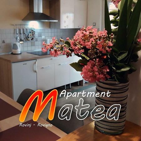 Apartment Matea Rovinj Exterior foto